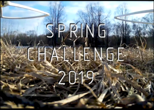 Обложка Spring Challenge 2019